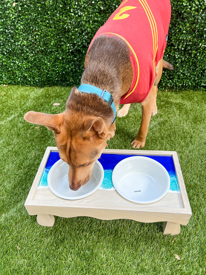 Coastal Medium Dog Feeding Station