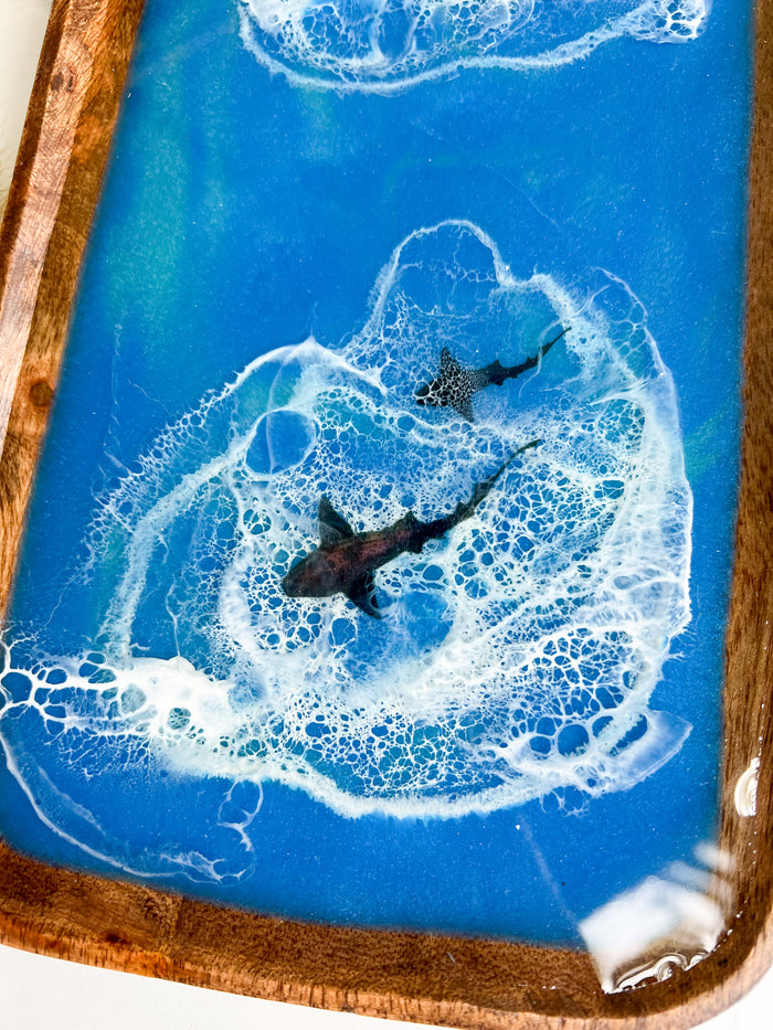 Circling Sharks Catch-All Tray