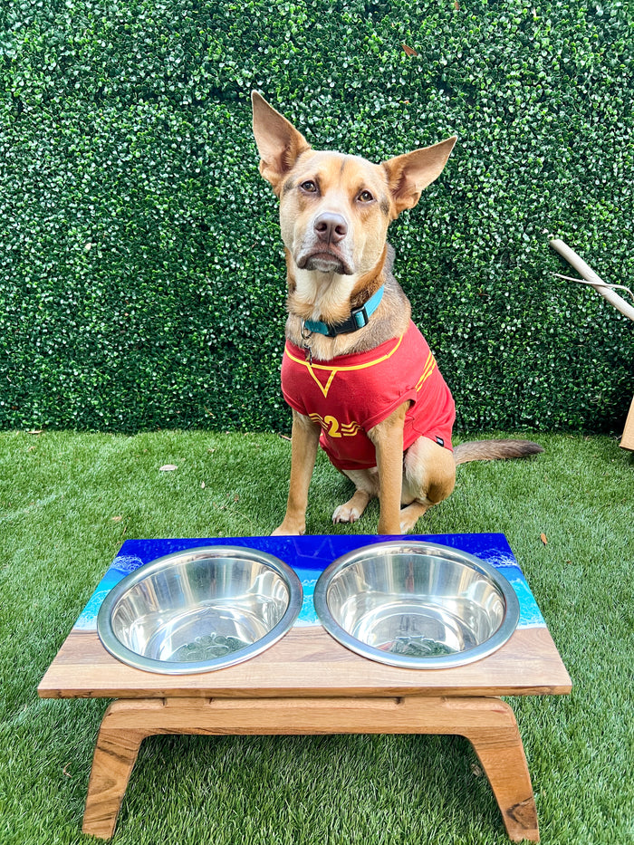 Live Edge Medium Dog Feeding Station