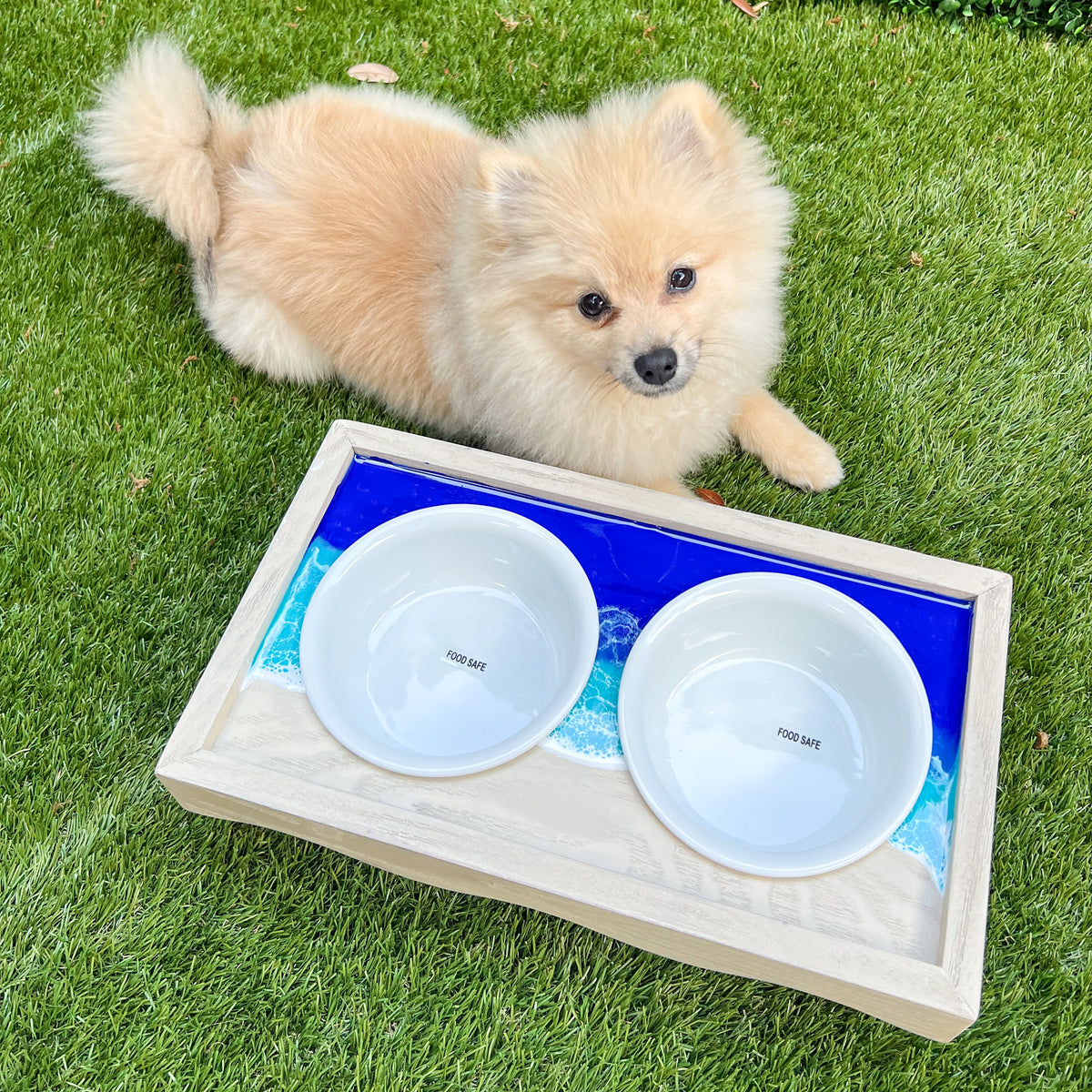 Coastal Small Dog Feeding Station