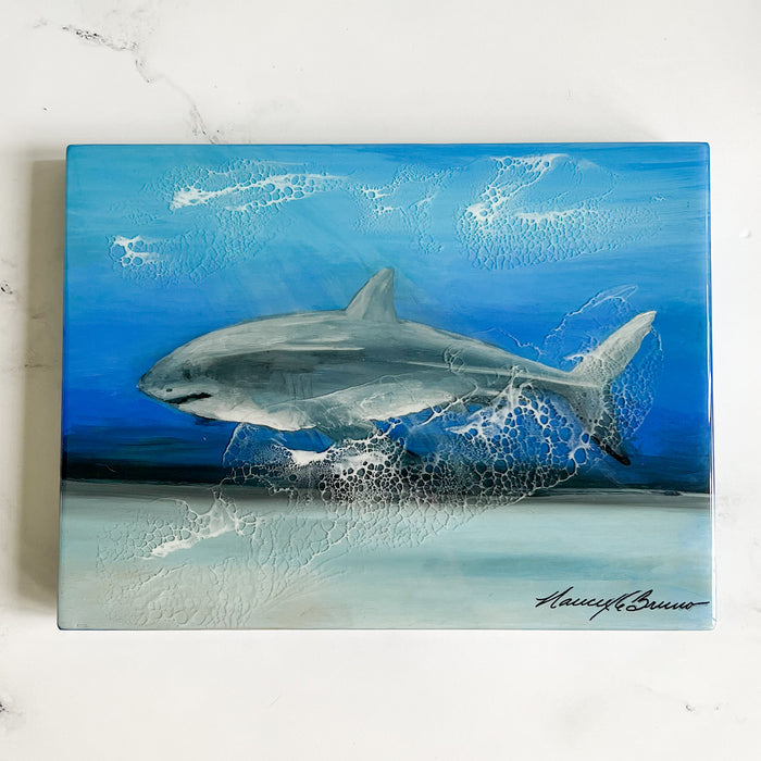 ‘Shark on the Hunt’