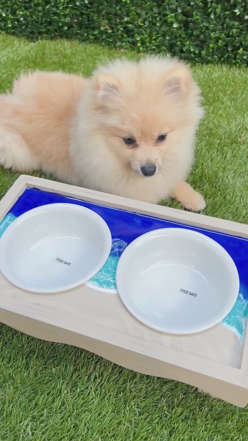 Coastal Small Dog Feeding Station